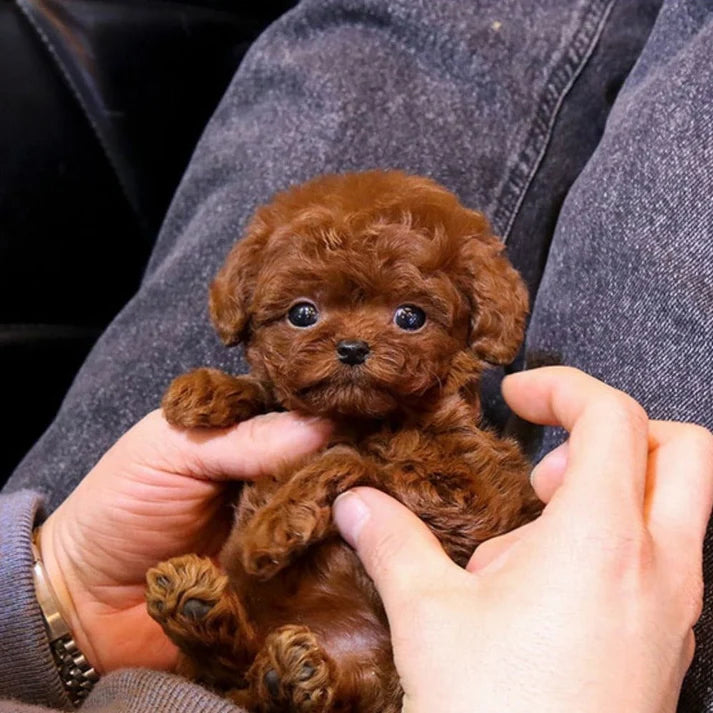 RoboDog™ | Realistic robot dog