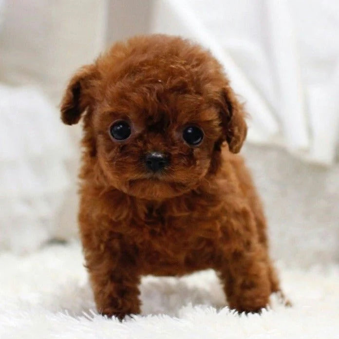 RoboDog™ | Realistic robot dog