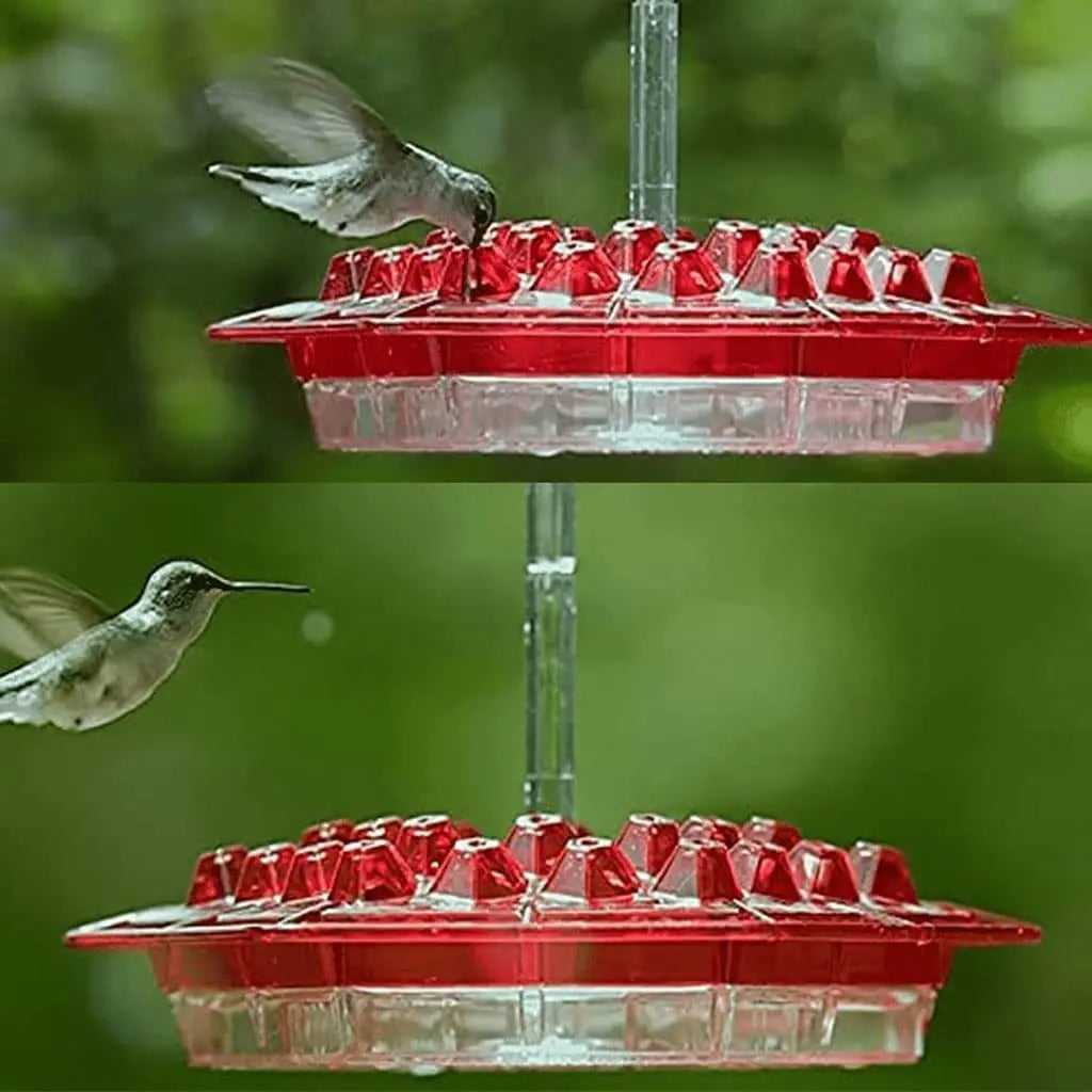 Ant-Proof Hummingbird Feeder with 30 Bee-Resistant Ports