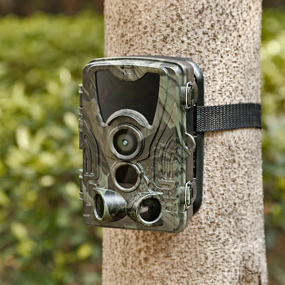 Wildlife & Trail Camera
