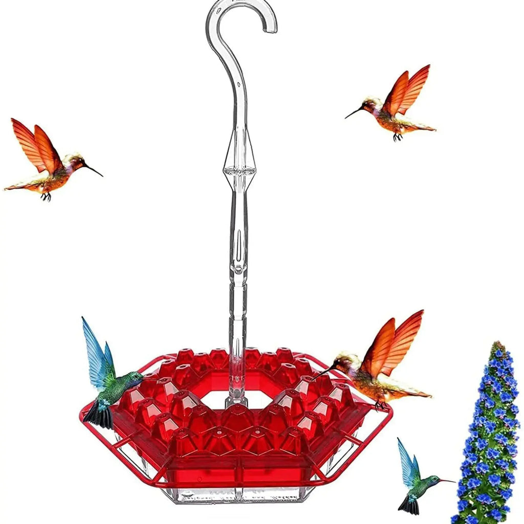 Ant-Proof Hummingbird Feeder with 30 Bee-Resistant Ports