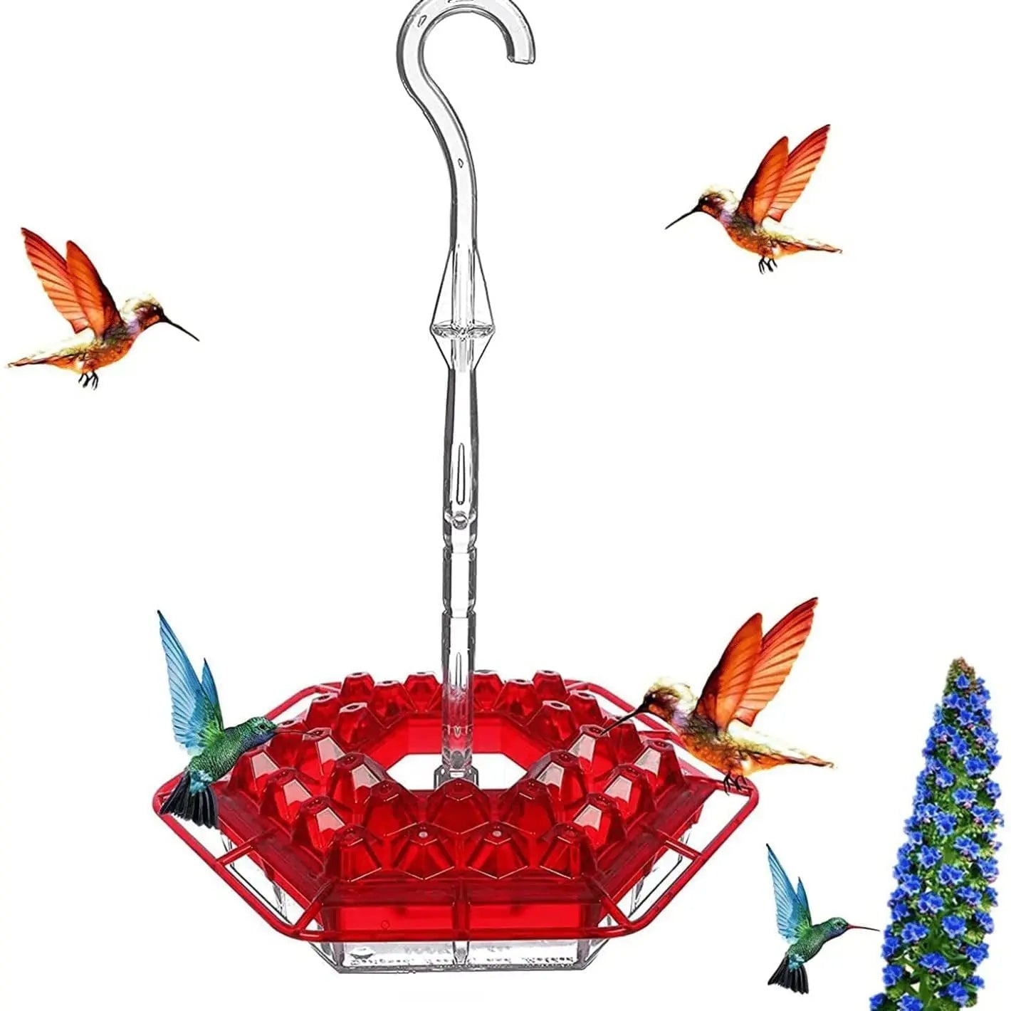 Abreuvoir à Colibris Anti-Fourmis avec 30 Orifices Résistants aux Abeilles