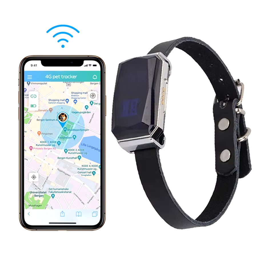 Collier GPS pour animaux de compagnie