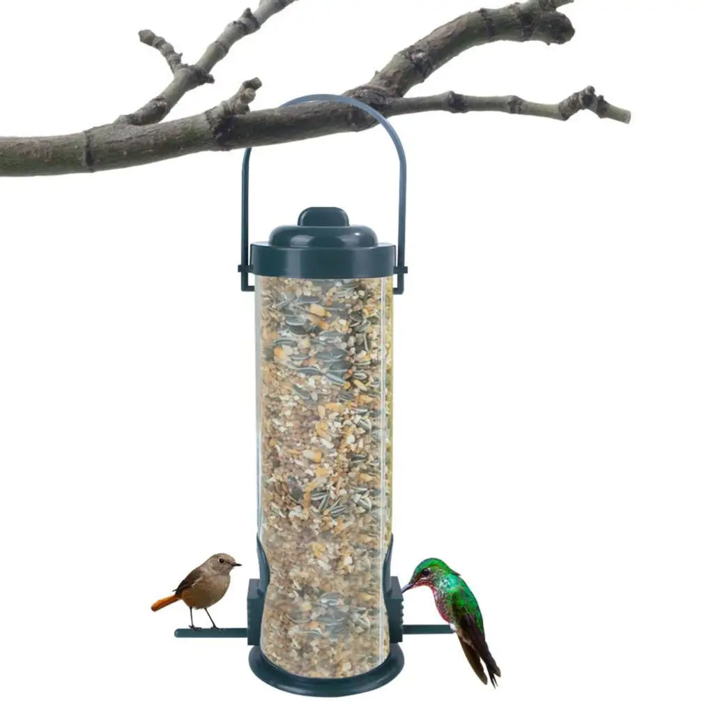 Mangeoire à oiseaux anti-écureuil