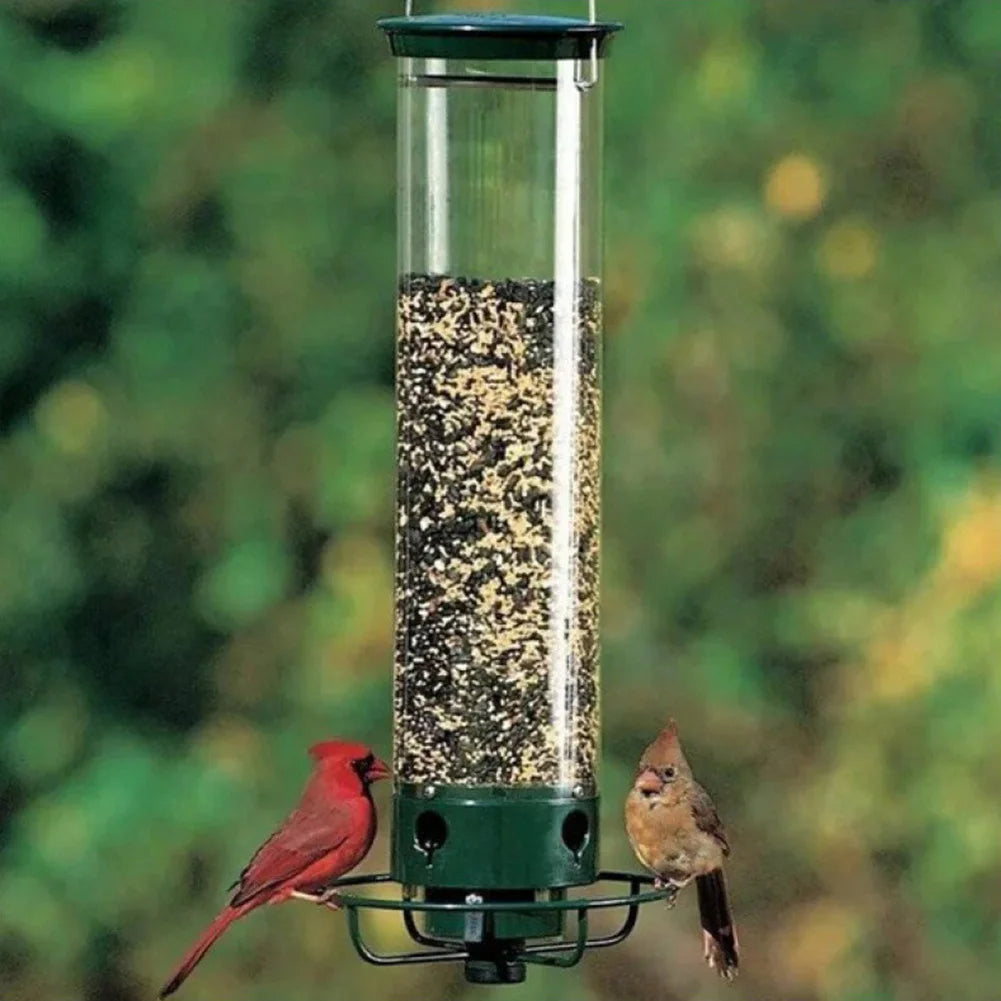 Mangeoire à oiseaux anti-écureuil