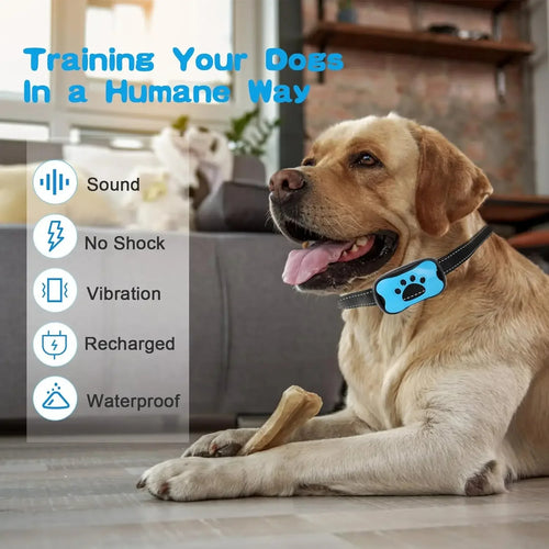 Collier anti-aboiement pour chien BarkBuddy
