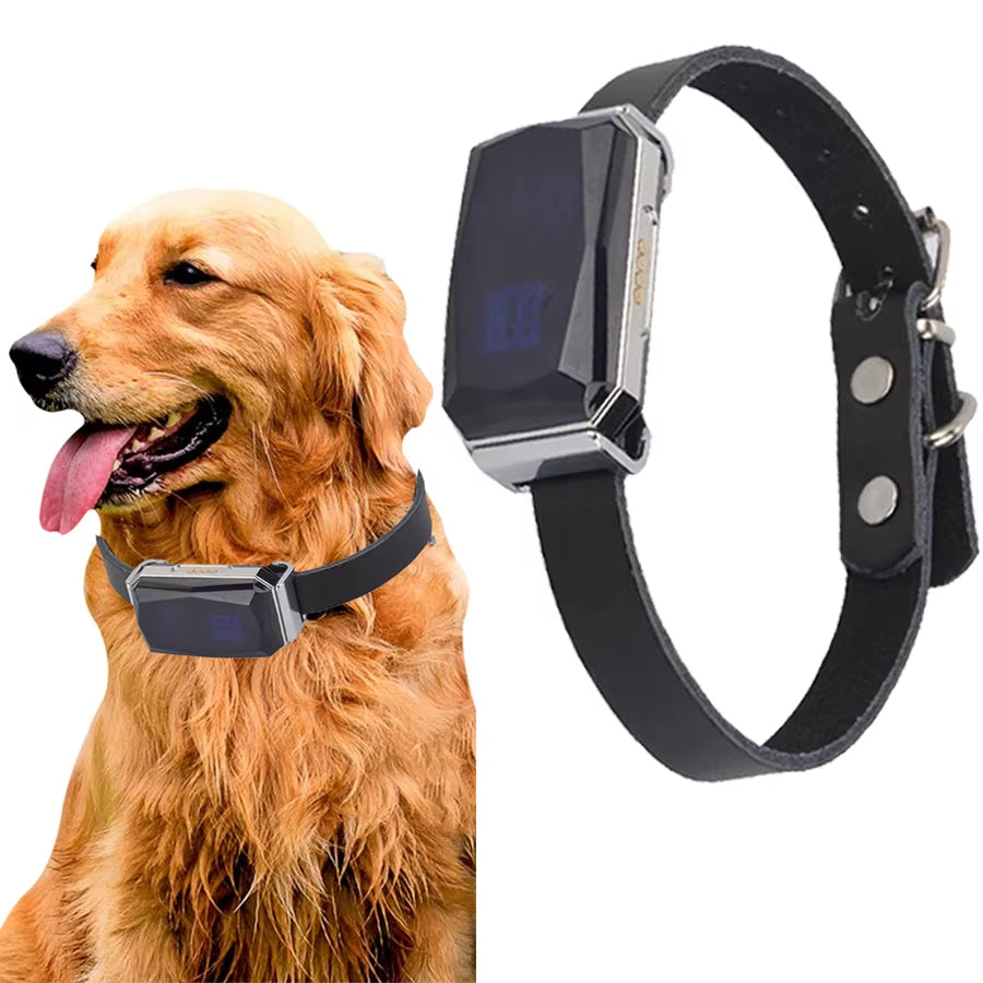 Collier GPS pour animaux de compagnie