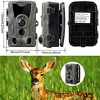 Caméra de Surveillance Animalière et de Sentier