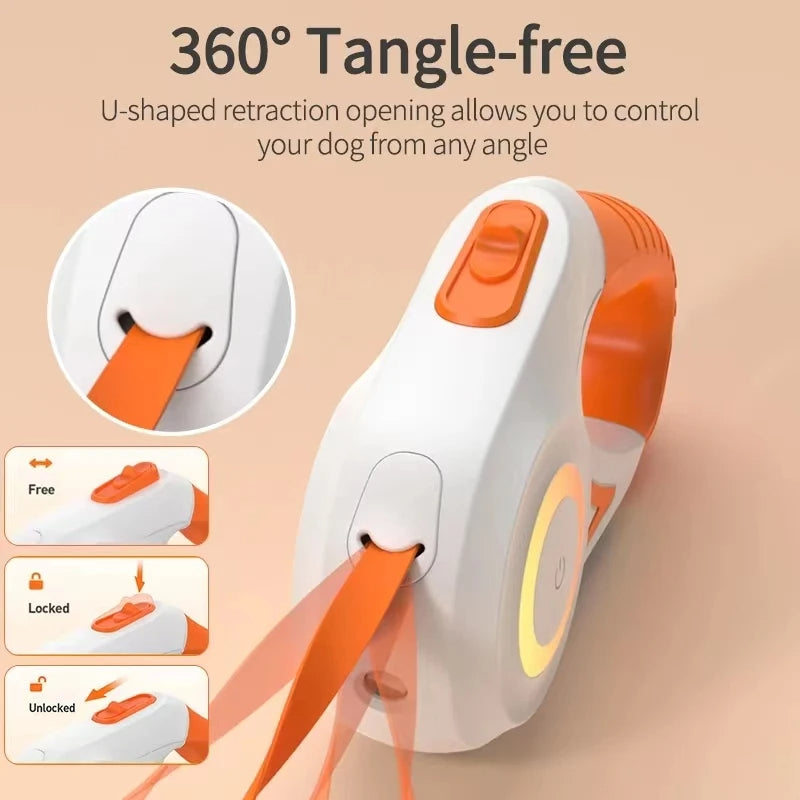 Laisse rétractable pour chien avec lampe de poche