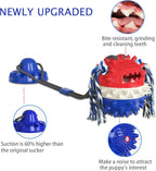 Interactive Self-Playing Pet Toy