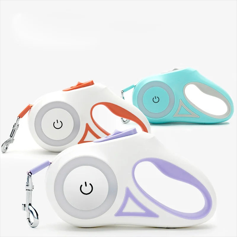 Laisse rétractable pour chien avec lampe de poche