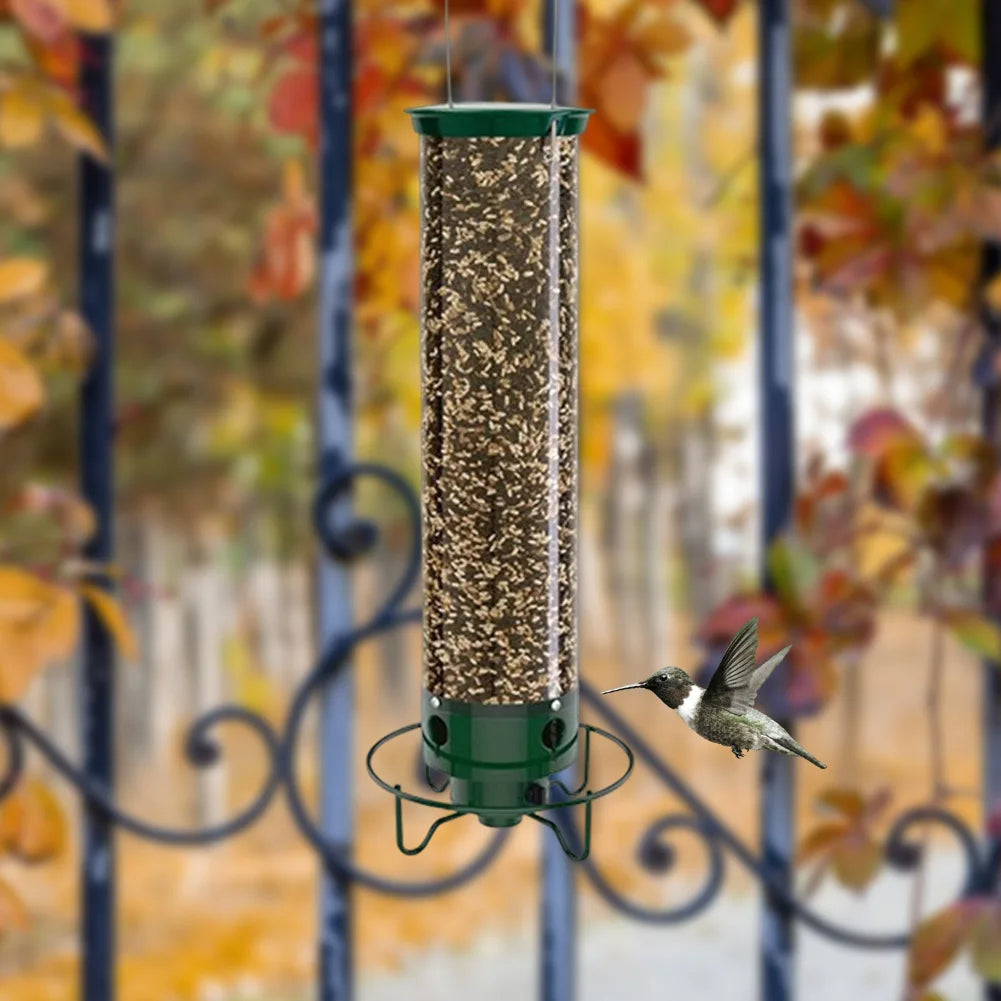 Mangeoire à oiseaux anti-écureuil