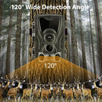 Caméra de Surveillance Animalière et de Sentier
