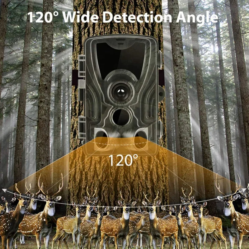 Caméra de Surveillance Animalière et de Sentier