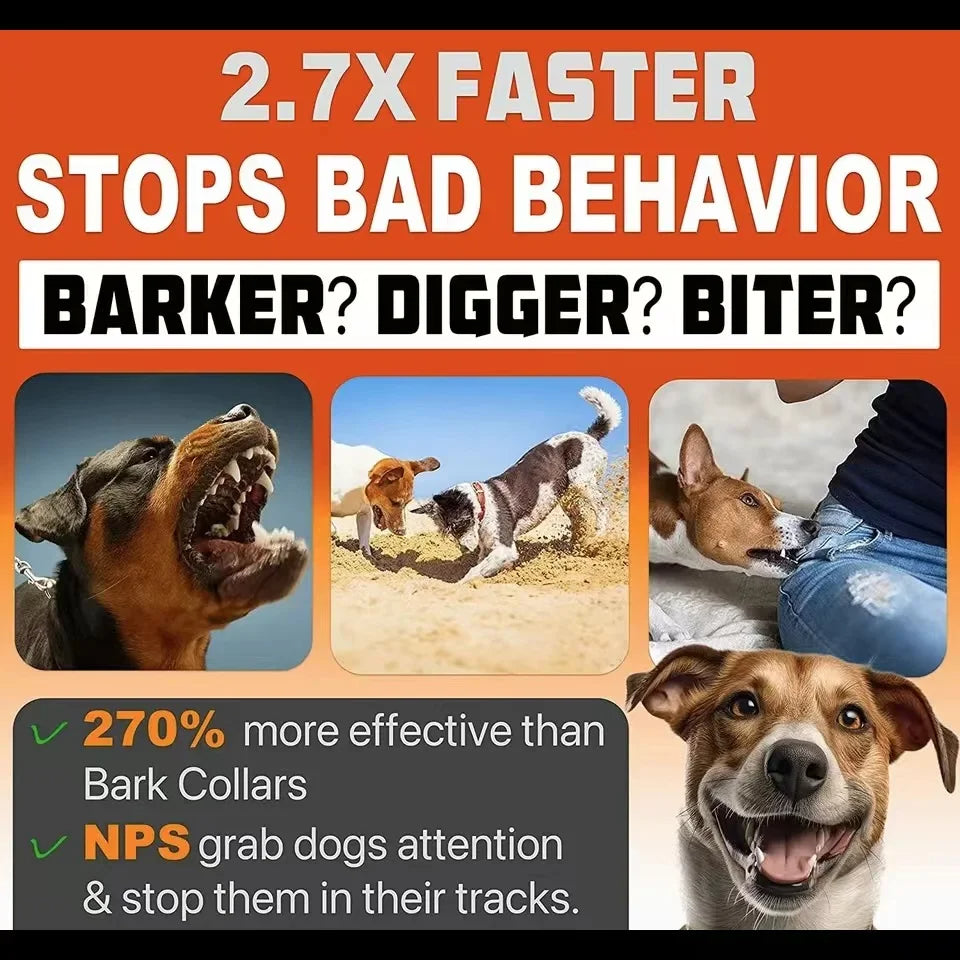 Dispositif Anti-Aboiement Ultime – Pour des Chiens Calmes et Paisibles