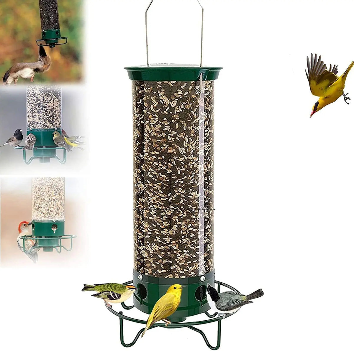 Mangeoire à oiseaux anti-écureuil