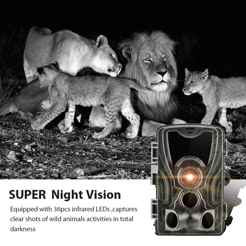 Caméra de Surveillance Animalière et de Sentier