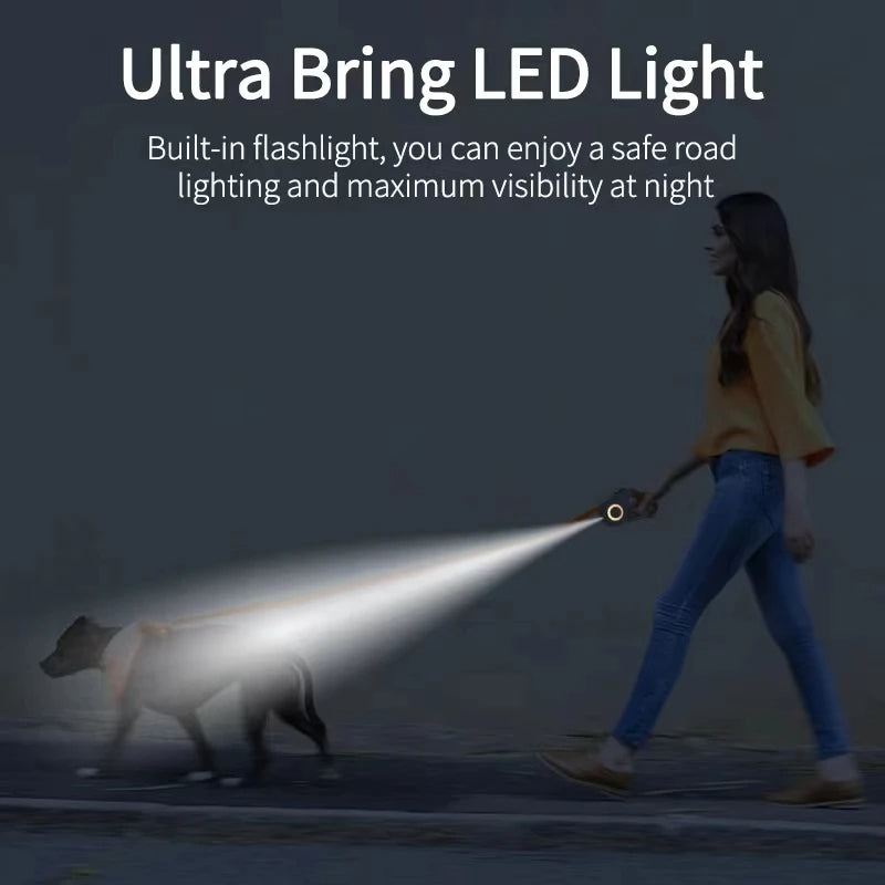 Laisse rétractable pour chien avec lampe de poche