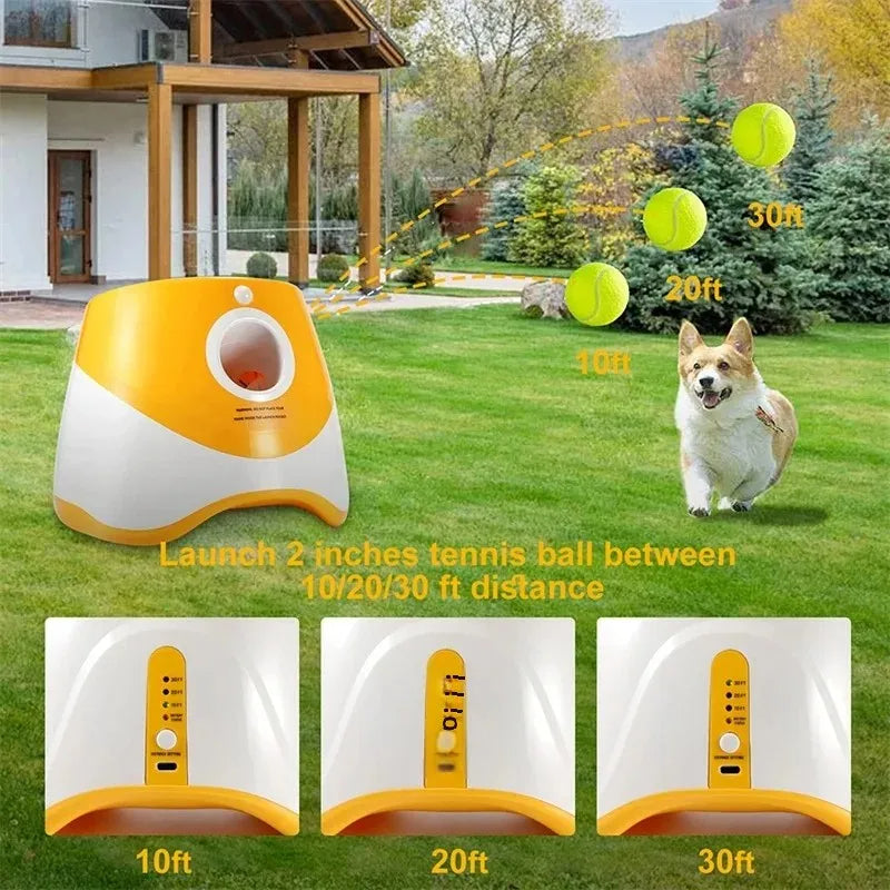 Lanceur de Balles Automatique pour Chien avec 3 Réglages de Distance