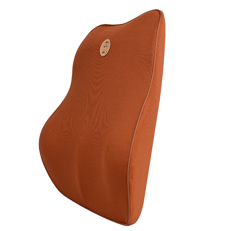 Coussin de soutien lombaire ergonomique