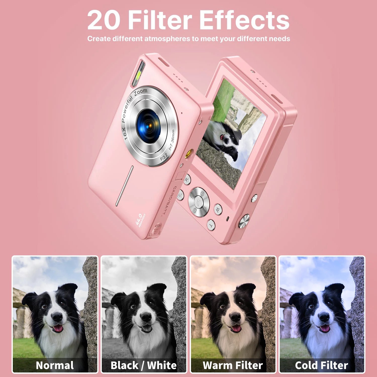 Digital Camera