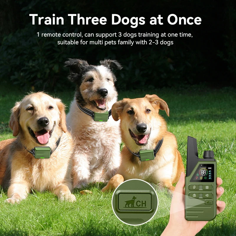 Collier de Dressage Intelligent pour Chien avec Télécommande