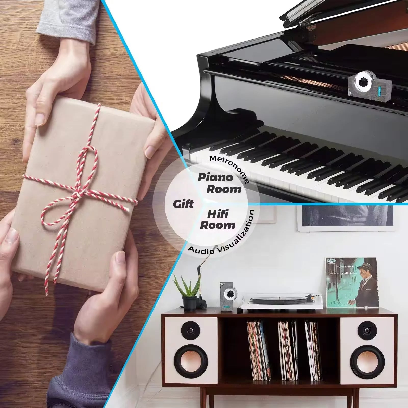 Visualiseur Sonore à Ferrofluide