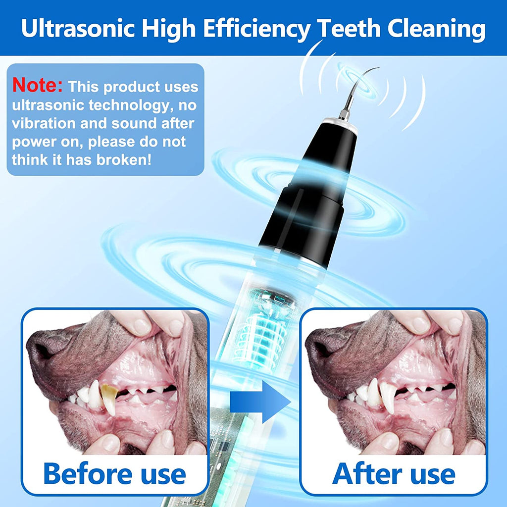 Détartreur Ultrasonique Professionnel pour Animaux – Soin Dentaire Doux et Efficace pour Chiens et Chats