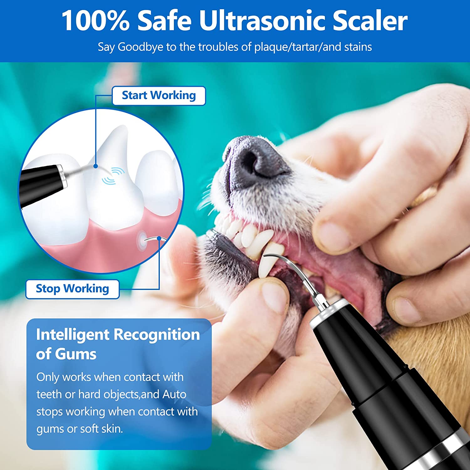 Professional Pet Ultrasonic Tartar Remover – Gentle & Effective Dental Care for Dogs and Cats