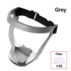Super Protective Anti-fog Face Shield