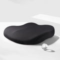 Adult Car Seat Booster