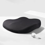 Adult Car Seat Booster