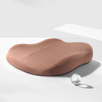 Adult Car Seat Booster