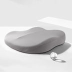 Adult Car Seat Booster