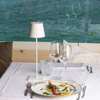 Cordless Aluminum Metal Lamp