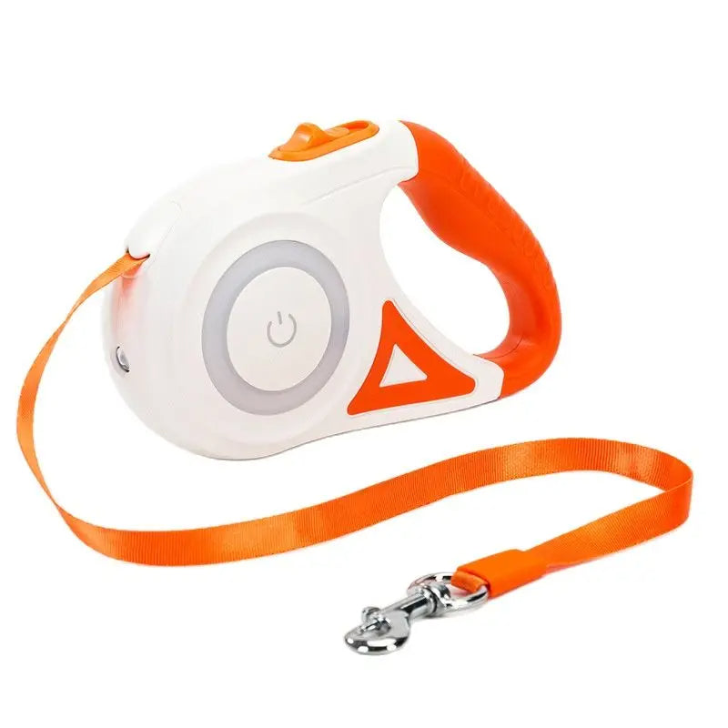 Laisse rétractable pour chien avec lampe de poche