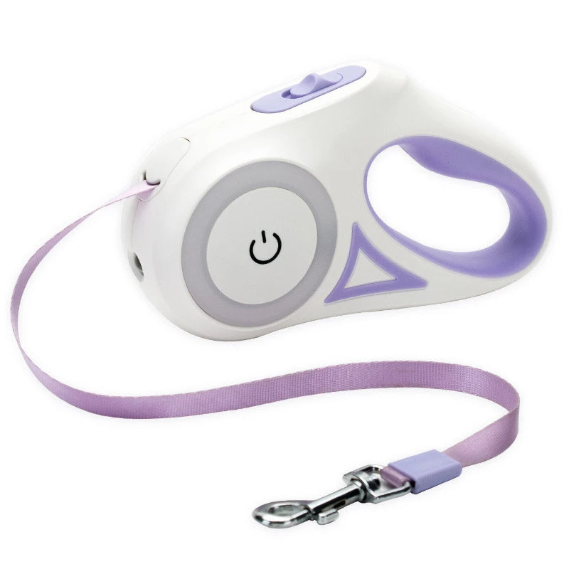 Laisse rétractable pour chien avec lampe de poche